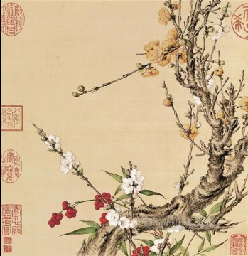  plum Art - Lang shining plum blossom old China ink Giuseppe Castiglione